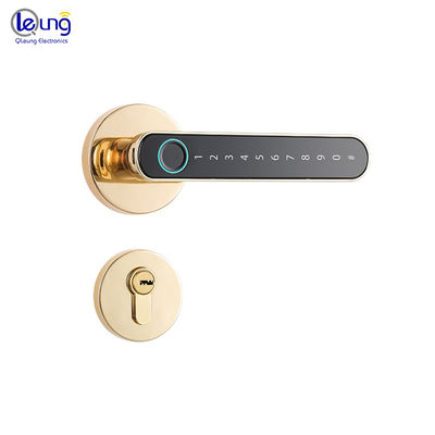 BLE Smart Fingerprint Locks Tuya App TTlock Fingerprint Door Lock For Bedroom