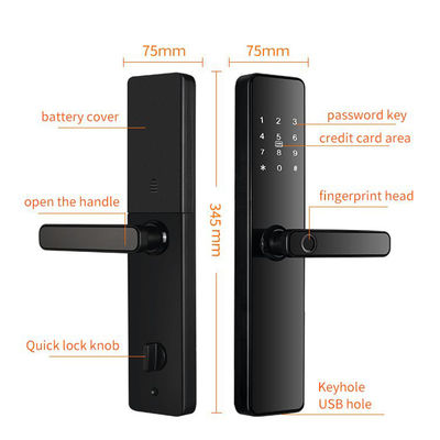 Qleung S819 Aluminum Door Fingerprint WiFi Enabled Tuya TTlock With Password Key Card for Home