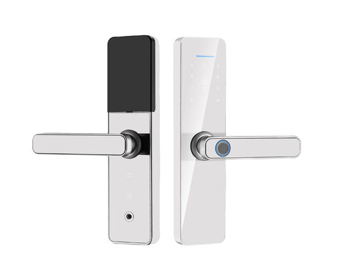 Qleung S811 Tuya Smart Door Lock
