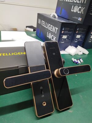 Red Bronze S811 Qleung Smart Home Door Lock with Semiautomatic Tuya Technology