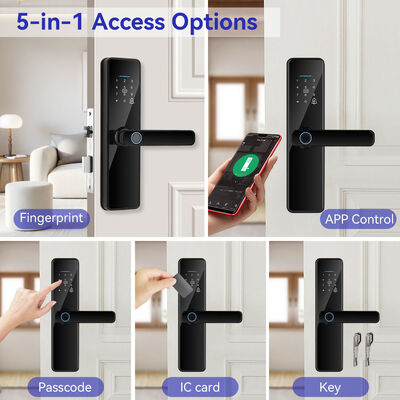 Qleung S811 Smart Door Lock with Semiconductor Live Fingerprint Reader, Multiple Unlock Methods, and Aluminium Alloy + Tempered Glass Construction