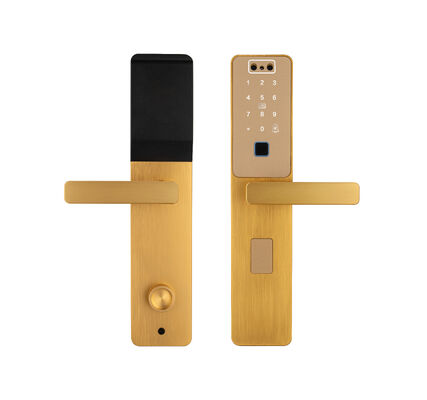 S869 Gold Color CNC Slim Plate Face Recognition  Palm Vein Unlock Tuya Door Lock 