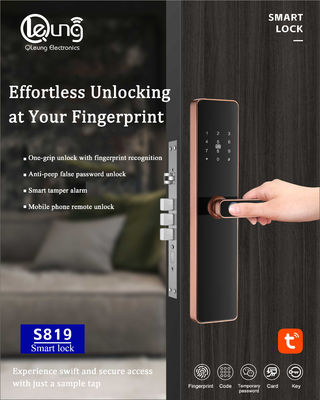 6068 मोर्टिसिंग फिंगरप्रिंट डोरलॉक Tuya TTlock वाईफाई एपीपी वैकल्पिक