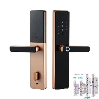 6068 Mortise TTlock Wifi Tuya फिंगरप्रिंट और पासवर्ड के साथ दरवाजा लॉक
