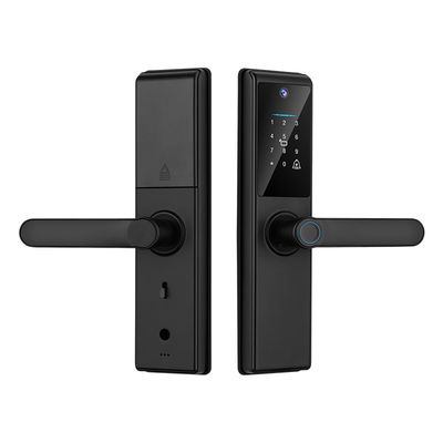 Qleung Tuya Wifi APP Smart Door Knob Remote Control Fingerprint Code Card Key S821Max Home With Camera