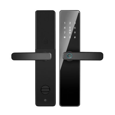 Qleung S819 एल्यूमीनियम दरवाजा फिंगरप्रिंट वाईफाई सक्षम Tuya TTlock के साथ पासवर्ड कुंजी कार्ड घर के लिए